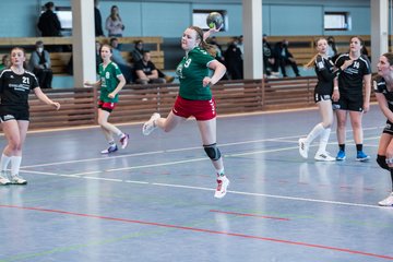 Bild 273 - F HSG Kre/Mue - HFF Munkbrarup : Ergebnis: 49:20